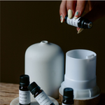 Essential Oil Aromatherapy Blend for use in Electric Diffusers