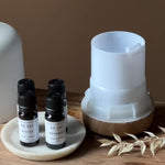 Essential Oil Aromatherapy Blend for use in Electric Diffusers