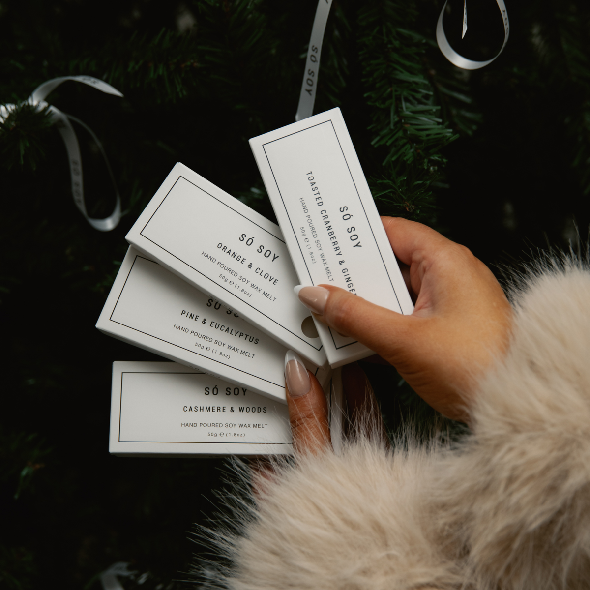 A hand holding several white rectangular boxes of SO SOY wax melt bars arranged against a dark pine tree background with a white ribbon. The boxes show different scent names including Orange & Clove, Pine & Eucalyptus, and Cashmere & Woods.