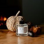 Só Soy Pumpkin Pie Reed Diffuser